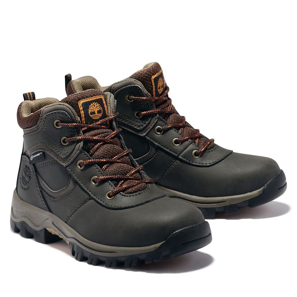 Timberland Kids Hiking Boots Youth Mt. Maddsen Waterproof - Dark Brown - India DW2954708